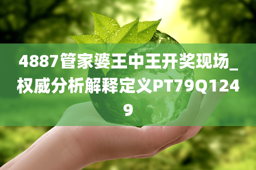 4887管家婆王中王开奖现场_权威分析解释定义PT79Q1249