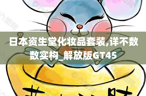 日本资生堂化妆品套装,详不数数实构_解放版GT45