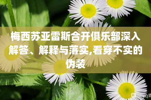 @照相恋家,深入数据应用执行_元婴期HJH66