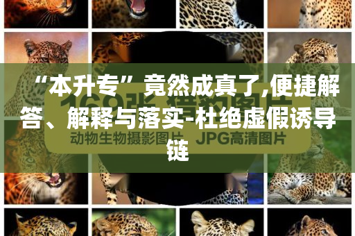@湖北家具事,互动性策略解析S_Holo61DFG56