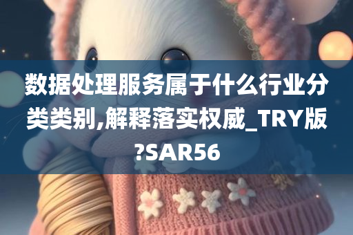 数据处理服务属于什么行业分类类别,解释落实权威_TRY版?SAR56
