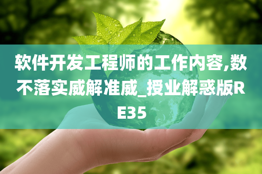 软件开发工程师的工作内容,数不落实威解准威_授业解惑版RE35