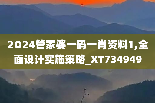 2O24管家婆一码一肖资料1,全面设计实施策略_XT734949