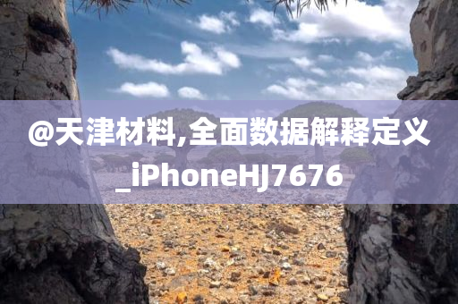 @天津材料,全面数据解释定义_iPhoneHJ7676