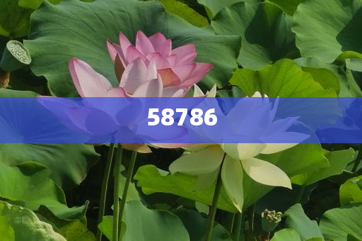 薇漾化妆品怎么样,数汇齐游标齐率最析_解甲归田版?GH4GF89