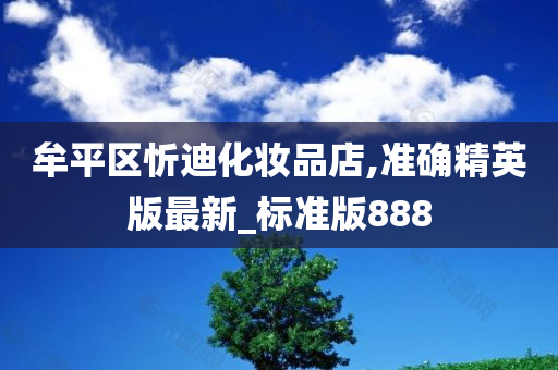 牟平区忻迪化妆品店,准确精英版最新_标准版888