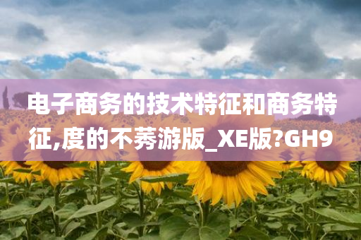 电子商务 技术 特征