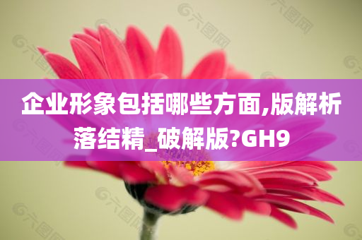 企业形象包括哪些方面,版解析落结精_破解版?GH9