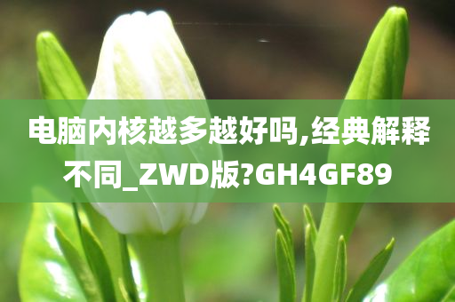 电脑内核越多越好吗,经典解释不同_ZWD版?GH4GF89