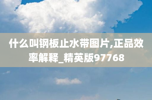 什么叫钢板止水带图片,正品效率解释_精英版97768