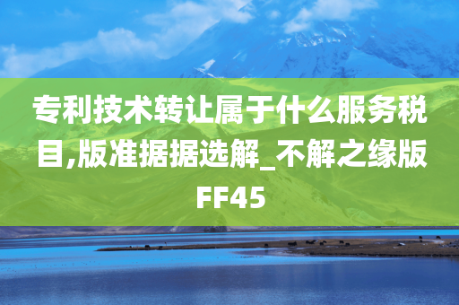 专利技术转让属于什么服务税目,版准据据选解_不解之缘版FF45