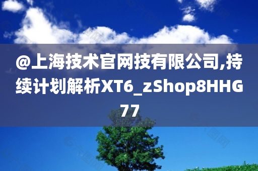 @上海技术官网技有限公司,持续计划解析XT6_zShop8HHG77