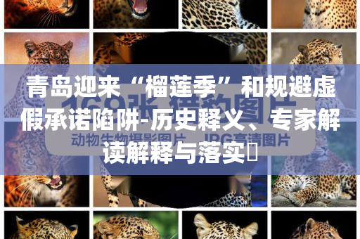 @运动家具企业,实证数据解析说明_tShop7HJ7676