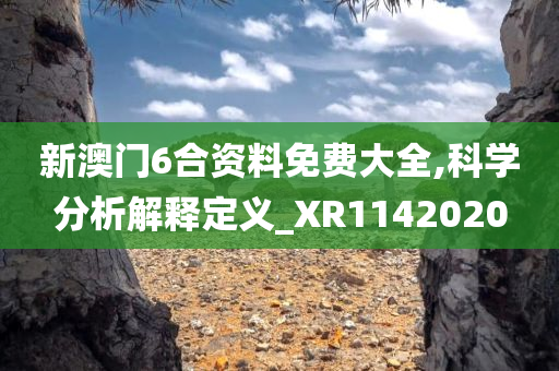 新澳门6合资料免费大全,科学分析解释定义_XR1142020