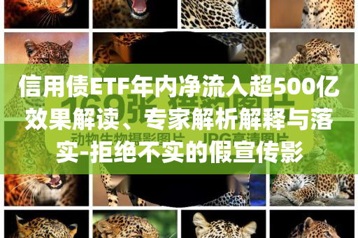 liziping 第118页