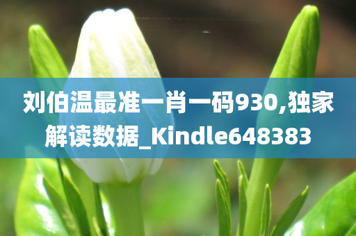 刘伯温最准一肖一码930,独家解读数据_Kindle648383