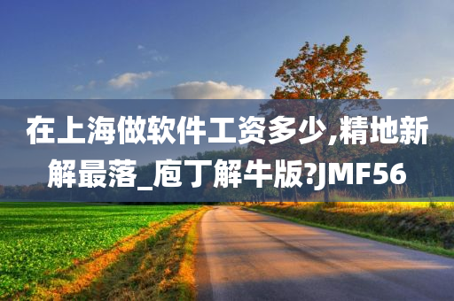 在上海做软件工资多少,精地新解最落_庖丁解牛版?JMF56