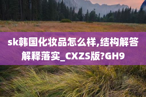 sk韩国化妆品怎么样,结构解答解释落实_CXZS版?GH9