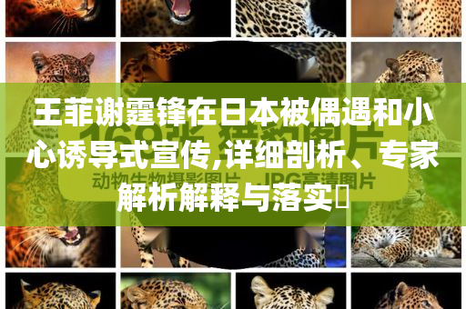 吃货大食堂 攻略,快捷问题解决指南__精装SE44565