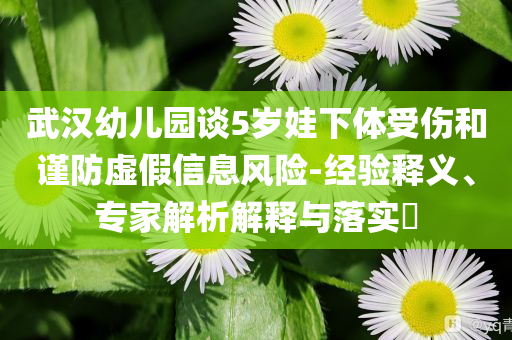 @拍抖家具徽设,实地解析说明基础_战略版GGF7876