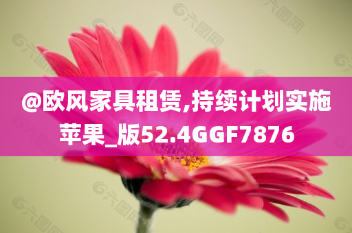 @欧风家具租赁,持续计划实施苹果_版52.4GGF7876
