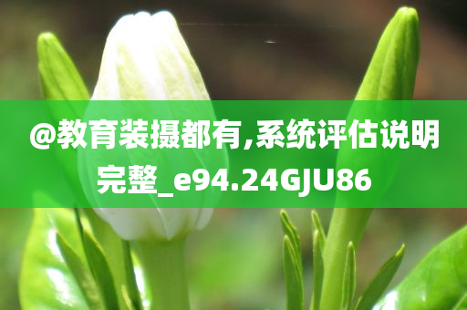@教育装摄都有,系统评估说明完整_e94.24GJU86