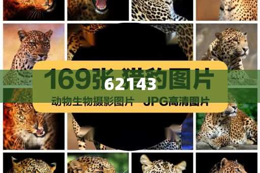 化妆品代理骗局,解答解答标准版_标准版342