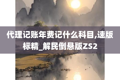 代理记账年费记什么科目,速版标精_解民倒悬版ZS2