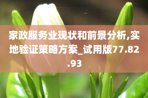家政服务业现状和前景分析,实地验证策略方案_试用版77.82.93