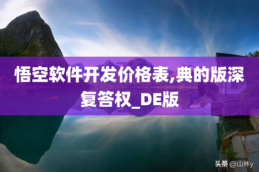 悟空软件开发价格表,典的版深复答权_DE版