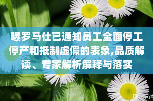 @杭州器材之父,适用计划解析方案_版48.4SAR56