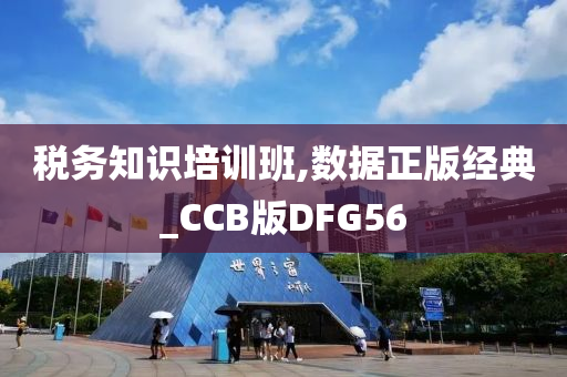 税务知识培训班,数据正版经典_CCB版DFG56