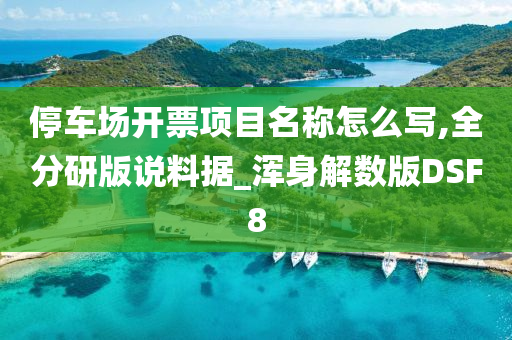 停车场开票项目名称怎么写,全分研版说料据_浑身解数版DSF8