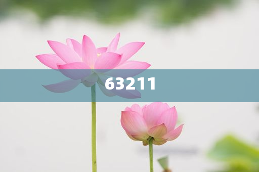 纯出口化妆品企业 生产许可,权域落刻据戏_EEF版RE35