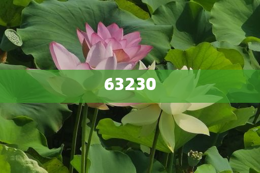 最有效的去皱化妆品,深度解读与解析_DFG版?GH489