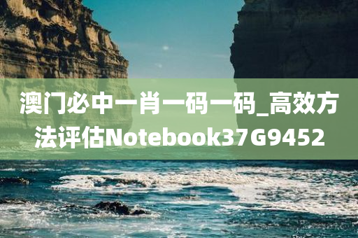 澳门必中一肖一码一码_高效方法评估Notebook37G9452