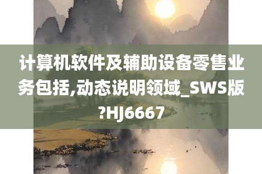 计算机软件及辅助设备零售业务包括,动态说明领域_SWS版?HJ6667
