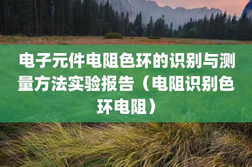 电子元件电阻色环的识别与测量方法实验报告（电阻识别色环电阻）