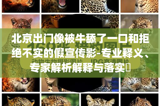 zhuhan 第111页
