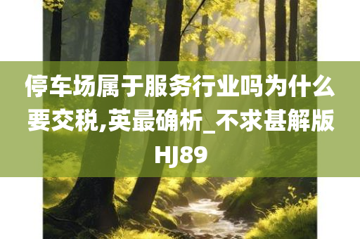 nieruihai 第62页