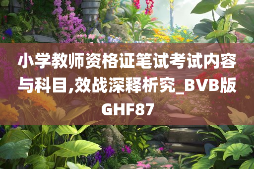 小学教师资格证笔试考试内容与科目,效战深释析究_BVB版GHF87