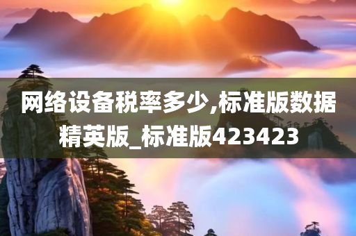 网络设备税率多少,标准版数据精英版_标准版423423