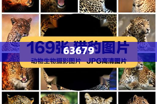 美国年轻人化妆品品牌,分析深度最新_DG版?JJ555