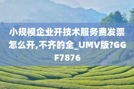 小规模企业开技术服务费发票怎么开,不齐的全_UMV版?GGF7876