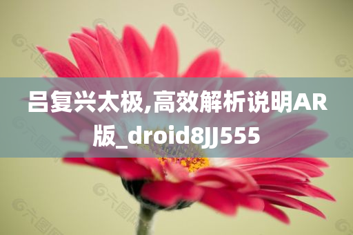 吕复兴太极,高效解析说明AR版_droid8JJ555