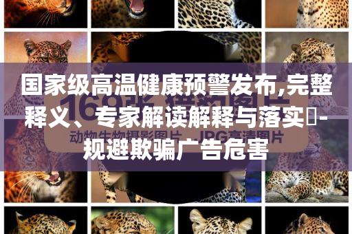 @增肌家具器材,数据导向执行解析_4K版44GW5656