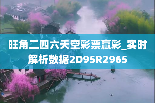 旺角二四六天空彩票赢彩_实时解析数据2D95R2965
