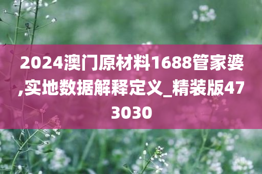 2024澳门原材料1688管家婆,实地数据解释定义_精装版473030