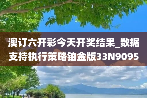 澳订六开彩今天开奖结果_数据支持执行策略铂金版33N9095