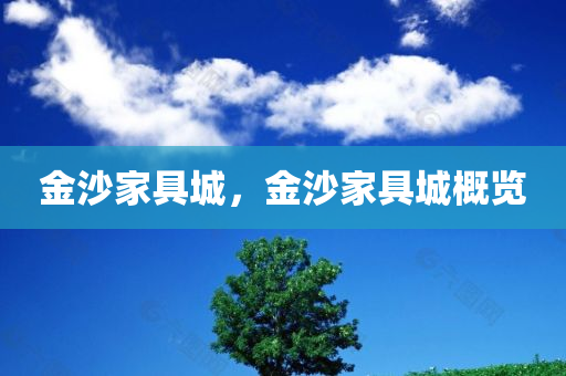金沙家具城，金沙家具城概览